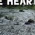 Ram Dass Path Of The Heart With Relaxing Sights And Sounds Of Tranquil Forest River