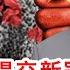 无结论 美情报机构向拜登递交新冠溯源报告 中国反对 中国大使向谭德赛提交2500万人联署信要求调查美国 中国力推美军实验室泄露阴谋论 中美新冠溯源战 将如何影响中美关系 焦点观察 Aug 25