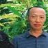 旅遊公司老闆被迷暈送到緬甸做 豬仔 中國人在妙瓦底就是 行走人民幣 緬北