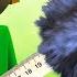 МОЙ СОСЕД БАЛДИ Baldi S Basics Secret House 3D
