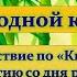 Мы с тобой одной крови ты и я Мультпутешествие по Книге джунглей