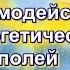 Взаимодействие энергетических полей