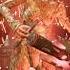Doom Authorization Olivia Pierce Theme