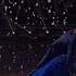 Dancing With The Stars 24 Nancy Kerrigan Artem LIVE 3 20 17