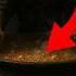 The Most Brutal Execution In History Boiled Alive Historyshorts Historyfacts Shorts