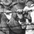 Children Of War