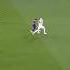 Messi Is Unstoppable