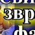 ИРОНИЧЕСКИЙ ДЕТЕКТИВ СВИДАНИЕ С РАЗВРАТНЫМ ФАВНОМ ГЛАВА6 ОКОНЧАНИЕ МАРГАРИТА ЮЖИНА TEFI РАССКАЗЫ