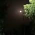 Full Moon Full Heart Bollywood Love Ytshorts Nightlife Fullmoon Nightout