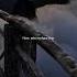 Shape Of You Ed Sheeran Lyrics Edit Speed Up Slowed Audio Lyrics Shapeofyou