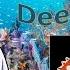 Spiral Zone 1987 The Doctor S Deep Dives Episode 3