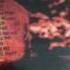 My ZZ Top Album Collection 1971 2003 Brand New