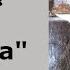Иван Сергеевич Тургенев Собака