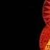 Acoustic Alchemy Same Road Same Reason