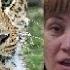 Виктор Драгунский ДЕНИСКИНЫ РАССКАЗЫ ЗЕЛЕНЧАТЫЕ ЛЕОПАРДЫ