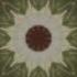 Pupillary Hologram Bedouin Kaleidoscope