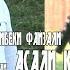 Рузибеки Файзали Асали кобул 2014 Ruzibeki Fayzali Asali Kobul 2014