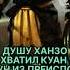 Ханзо Хасаши Скорпион Mortalkombat Mk11 Mk Mkmobile Scorpion