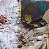 5 Filthy Houses Transformed Satisfying Deep Cleaning Compilation Speed Up