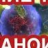 Строение клетки Органоиды клетки их строение и функции