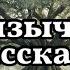 El Сuento Del Mes El árbol Negro