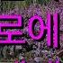 금잔디 교차로에서 이정순 노래교실