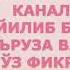 Жинси хаёт хакида Аёл эрининг авратини упса яки эр аёлининг авратини яласа бу жойизми