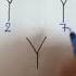 Can You Solve This Find The Missing Term Maths Shorts Youtubeshorts Reasoning Ssccgl