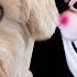 PUPPY FINDS HACKER CLUES IN BACKYARD Project Zorgo