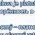 Чешский язык Видеокурс Расширение словарного запаса Лекция 2 ч 2 Слова с разным значением