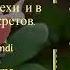 Салават читать 80 раз в пятницу прощаются все грехи