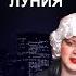 НОВАЯ ПЕСНЯ ЗАКВИЕЛЯ И ДЖАКА ЛУНИ РЕАКЦИЯ ПЯТЁРКИ Нарезка со стрима Пятёрки