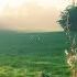 Summer Rain In The Village Healing Music Of Nature