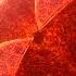 Bogdan Vix Renee Stahl Forever Suncatcher Bogdan Vix Remix Armada Trance 2014 001