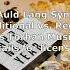 Auld Lang Syne Traditional Vs Reggae