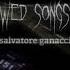 Talk Salvatore Ganacci Slowed