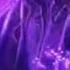 Enigma Sadeness Original Mix