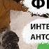 Все о фрирайде Антон Медведев