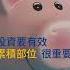 避開高點風險 穩健累積資產 安聯投信教你利用定期定額長期致勝