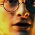 Harry Potter The Boy Who Lived