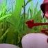 Maya The Bee 2017 Ants See Red S2E8