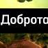 Чебурашка СССР VS Чебурашка 2023