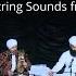 Deep Healing Kirtan Meditation Sacred Sounds Of Sikh Music Professor Surinder Singh