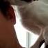 любимый романс кошки 1 часть романса Гомеса Tender Cat S Romance Gomez S Romance 1 Movement