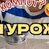 VLOG Dacha Routine Fresh Berry Compote Currant Fertilizer Souvenirs From Mallorca I Love Shurik