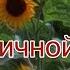 Нора Адамян Три рассказа Свадьба У больничной ограды Штопка Читает Марина Багинская