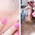 23 Bromas De Perro Las Bromas Más Graciosas Para Amigos Y Guerras De Bromas Por T STUDIO ES