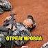 В Китае самая жесткая армия