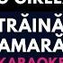Of Străinătate Amară Do Minor Karaoke