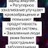 В чем плюсы закаливания Закаливание придает организму бодрость и заряд энергии Регулярное закали
